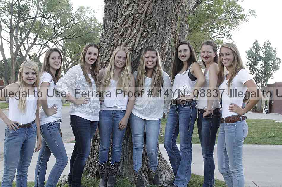 Proof 14yn_08837