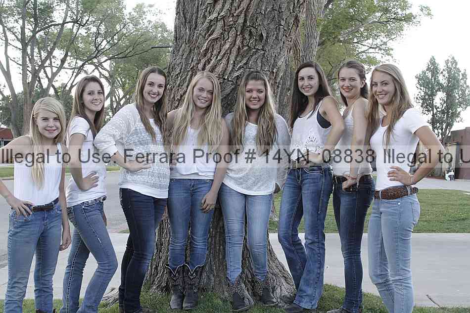 Proof 14yn_08838