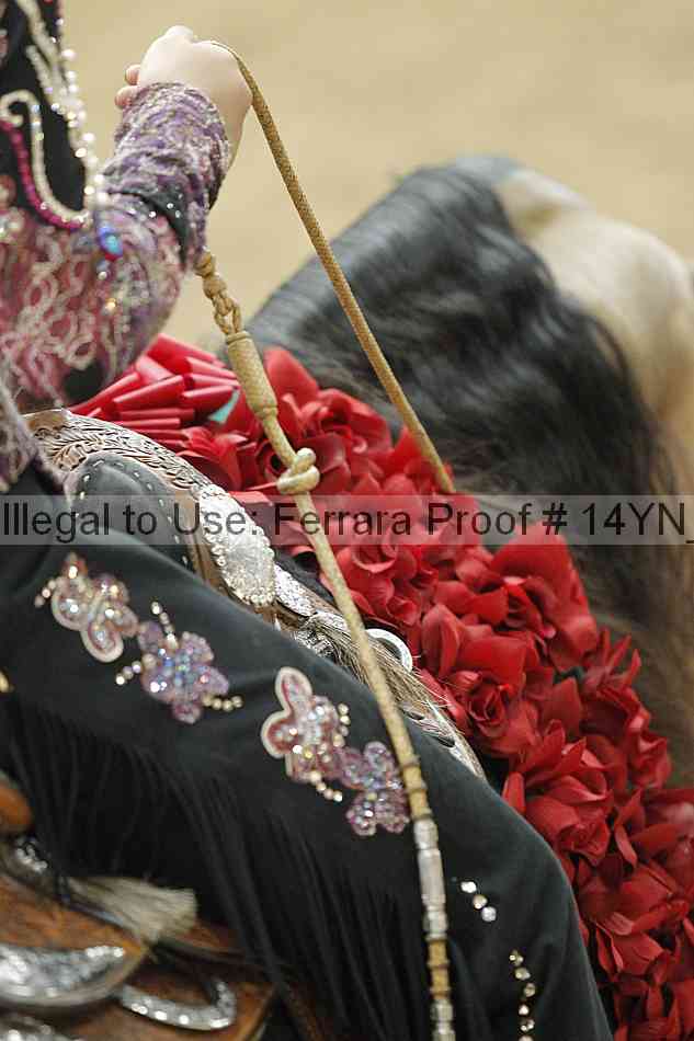 Proof 14yn_slideshow_24410