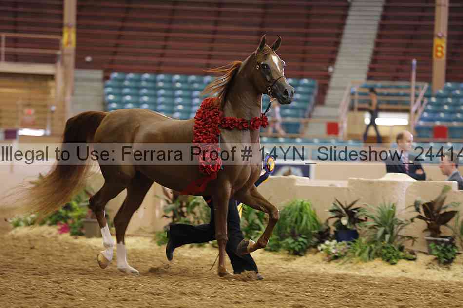Proof 14yn_slideshow_24414