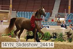 14yn_slideshow_24414 proof