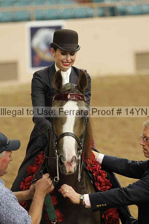 Proof 14yn_slideshow_24423