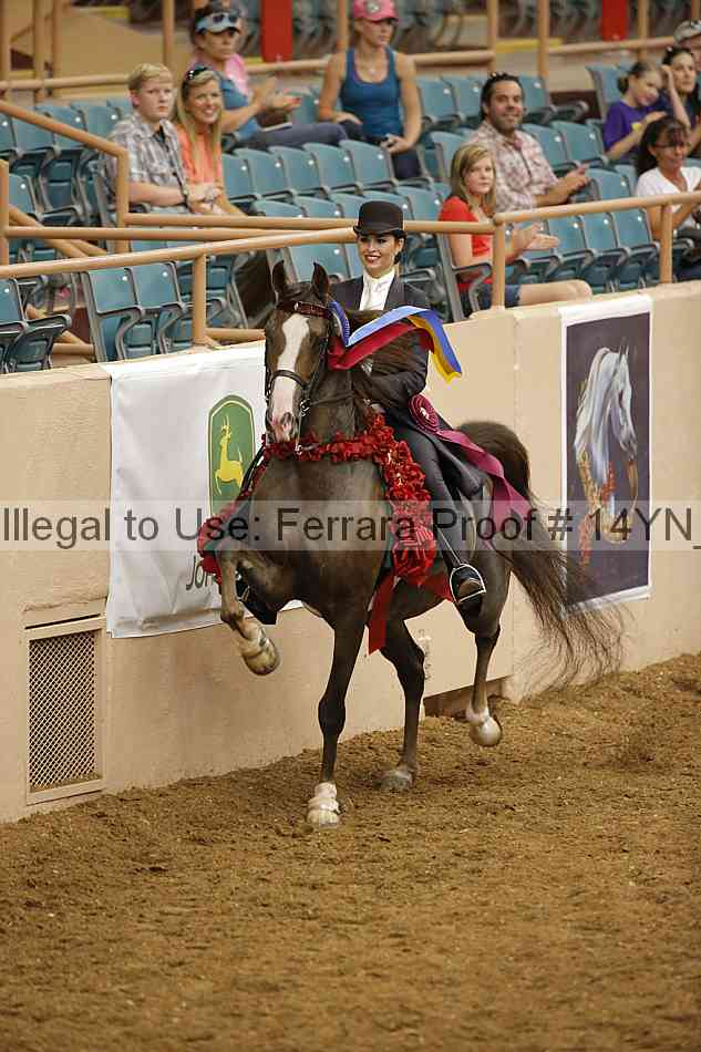 Proof 14yn_slideshow_24424