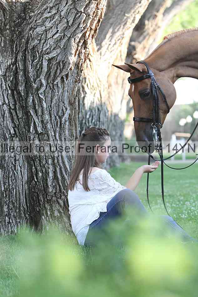 Proof 14yn_slideshow_24426