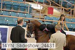 14yn_slideshow_24431 proof