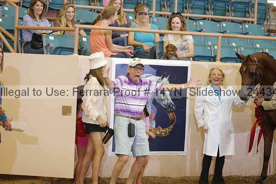 Proof 14yn_slideshow_24434