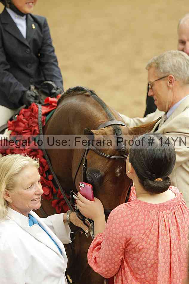 Proof 14yn_slideshow_24435