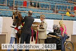14yn_slideshow_24437 proof
