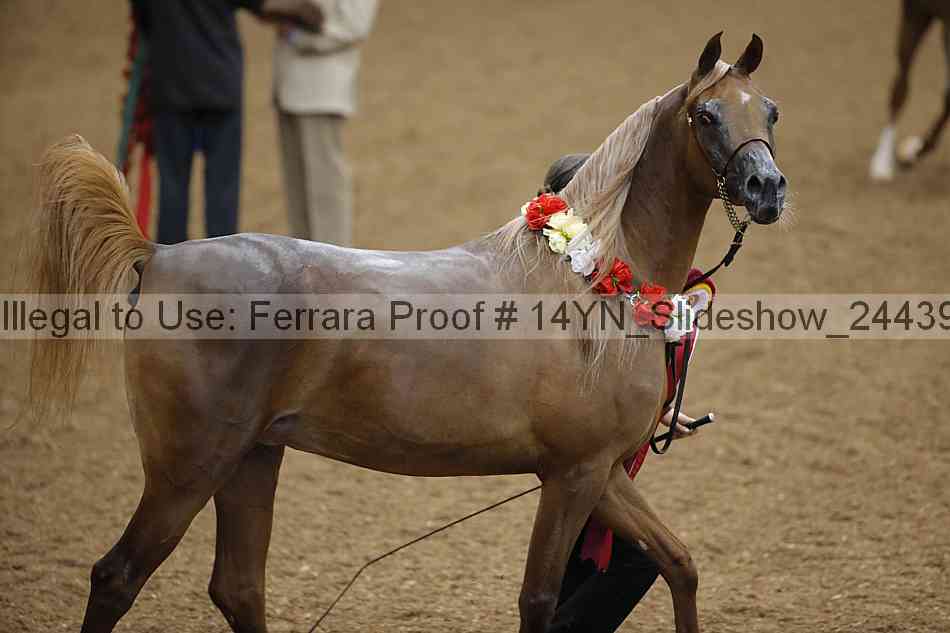 Proof 14yn_slideshow_24439