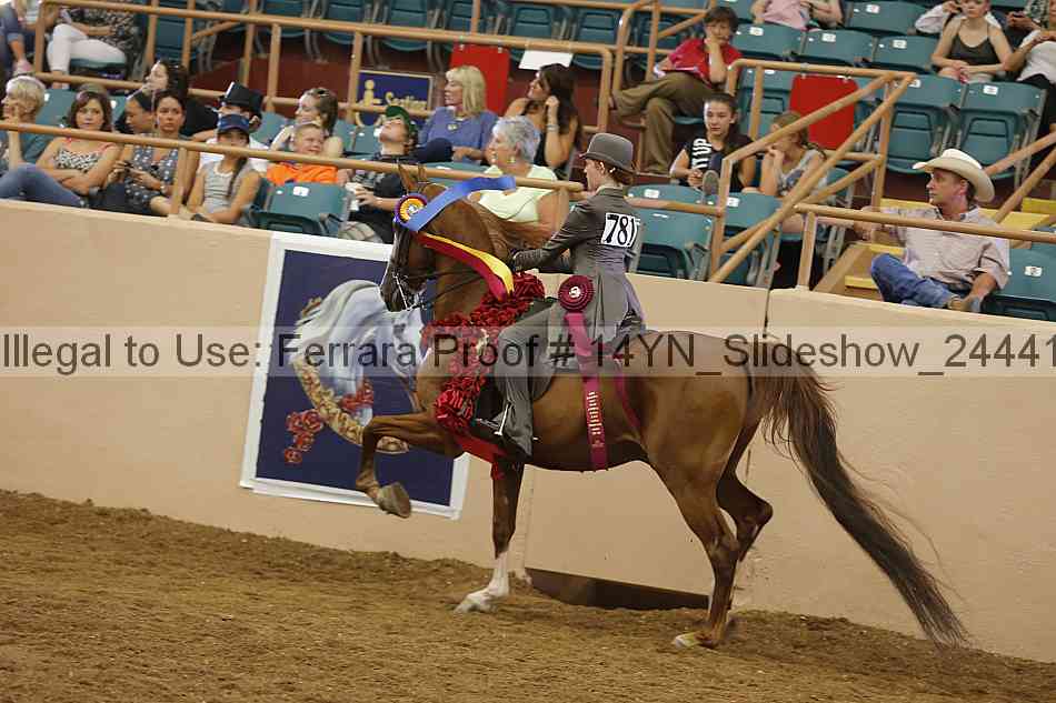 Proof 14yn_slideshow_24441