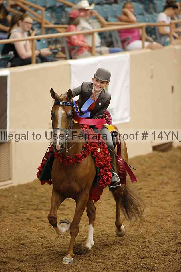 Proof 14yn_slideshow_24442