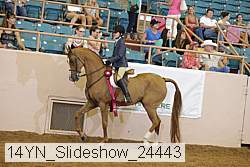 14yn_slideshow_24443 proof