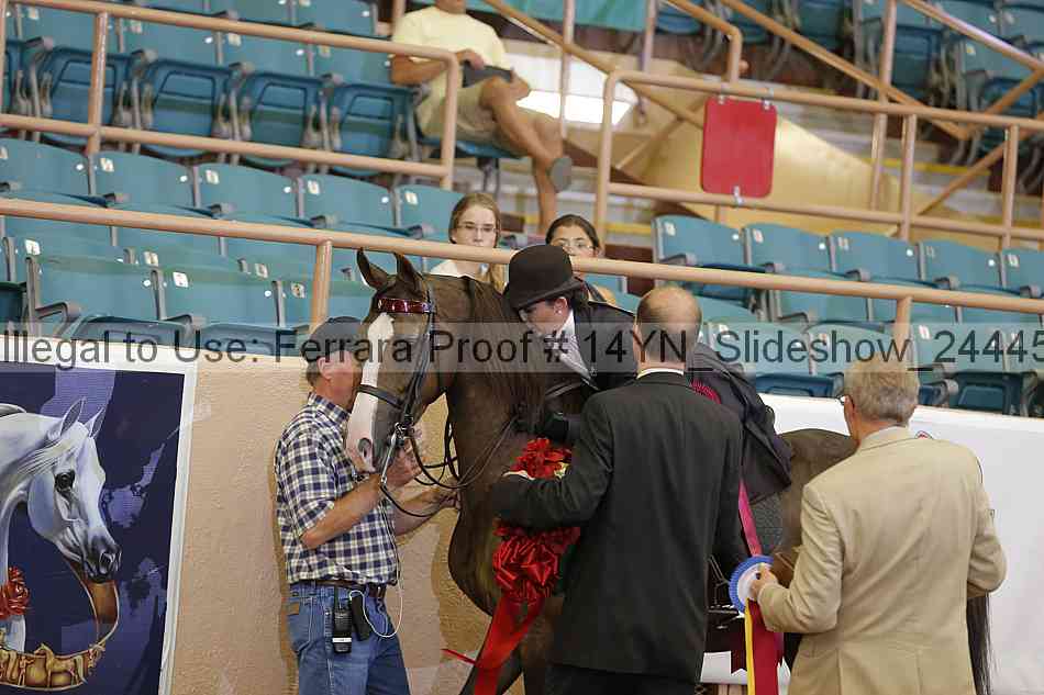 Proof 14yn_slideshow_24445