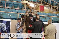 14yn_slideshow_24445 proof
