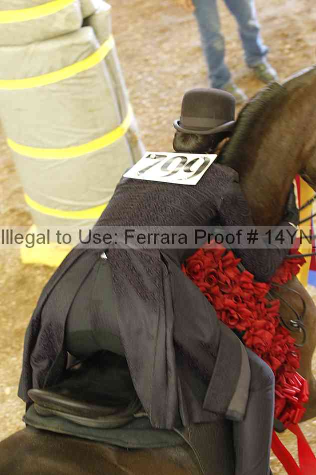 Proof 14yn_slideshow_24446