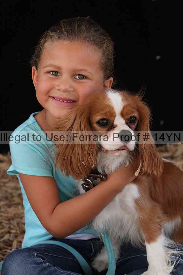 Proof 14yn_slideshow_24452