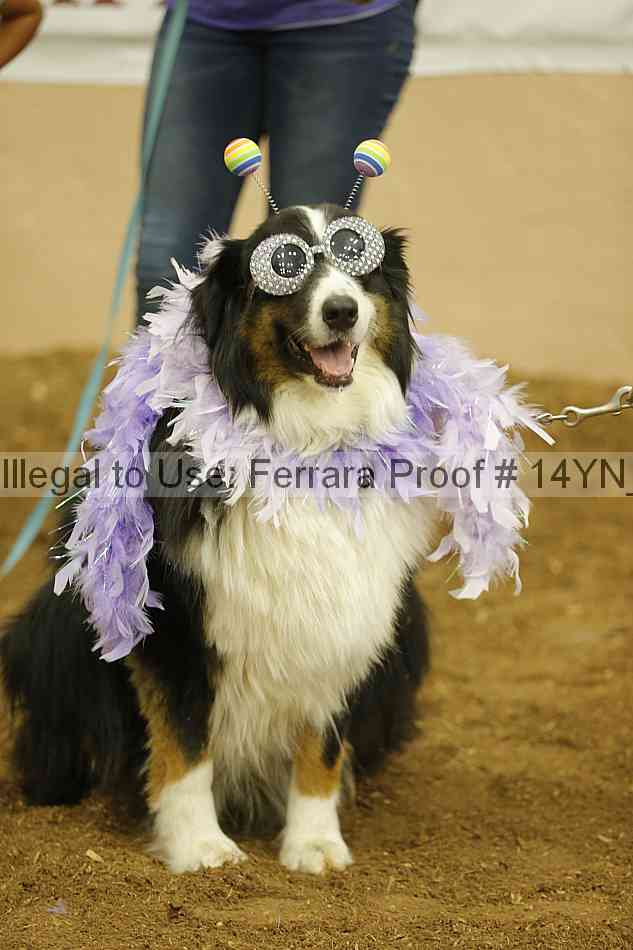 Proof 14yn_slideshow_24453