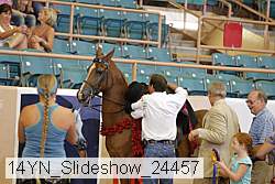 14yn_slideshow_24457 proof