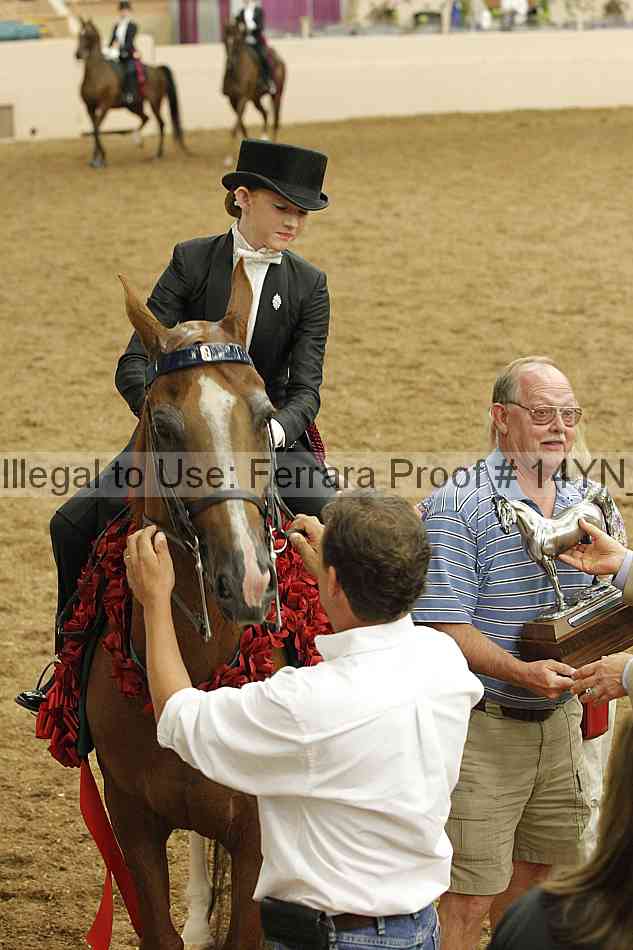 Proof 14yn_slideshow_24458