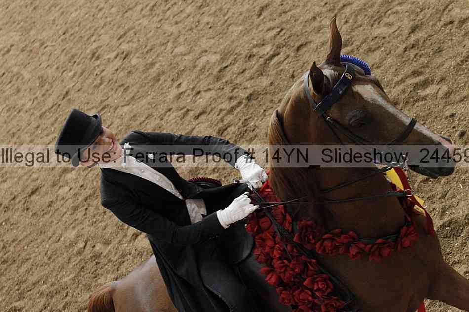 Proof 14yn_slideshow_24459