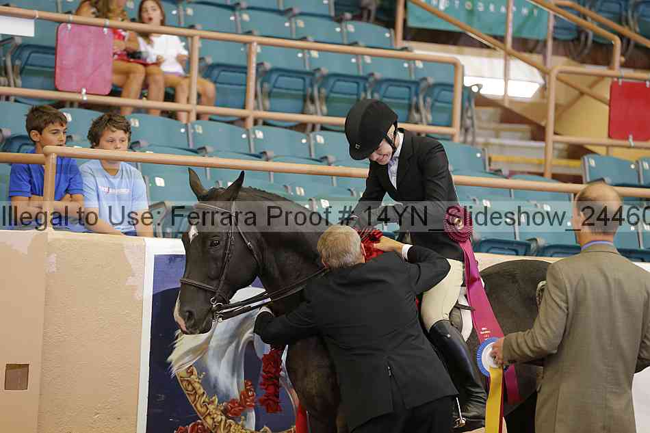 Proof 14yn_slideshow_24460