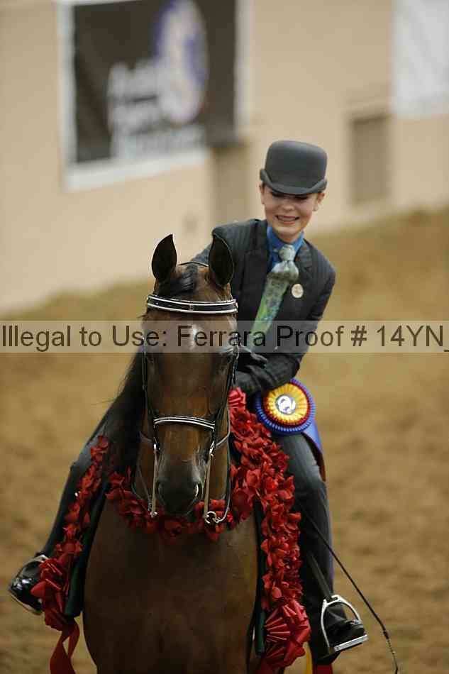 Proof 14yn_slideshow_24464