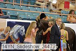 14yn_slideshow_24479 proof