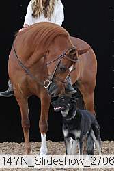 14yn_slideshow_27067 proof