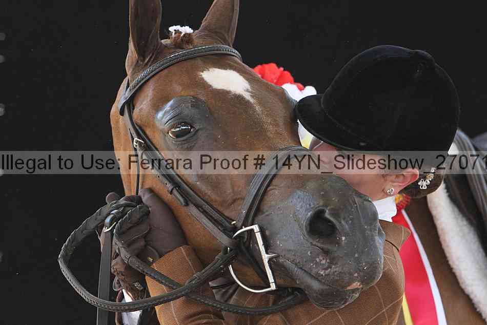 Proof 14yn_slideshow_27071