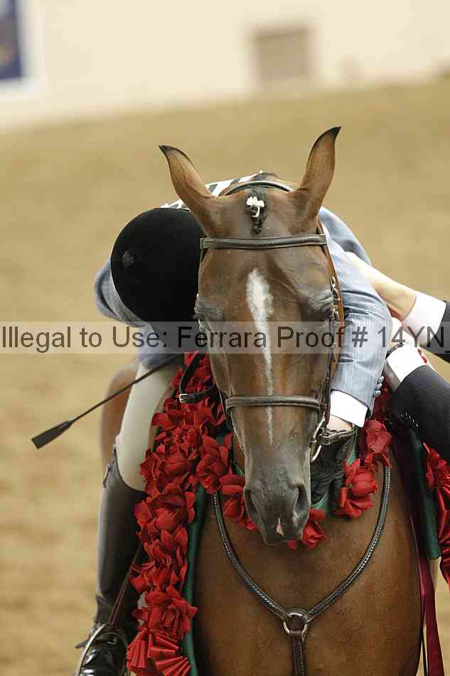 Proof 14yn_slideshow_27072