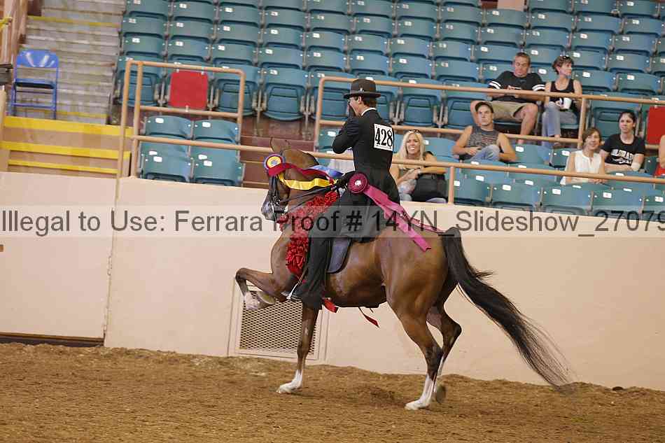 Proof 14yn_slideshow_27079
