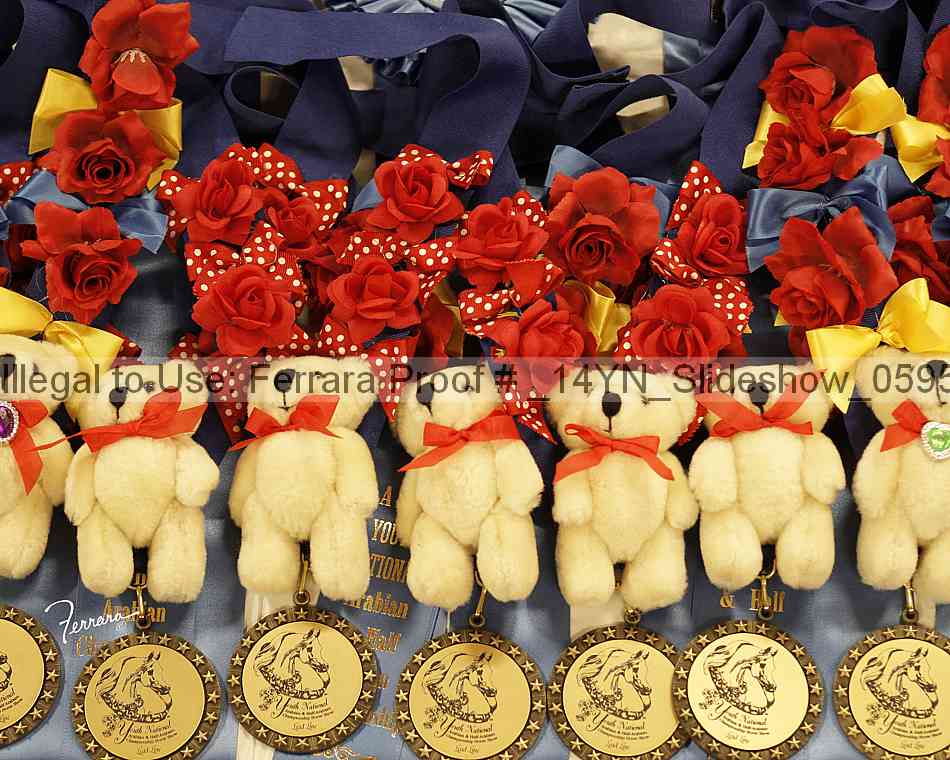 Proof _14yn_slideshow_05957