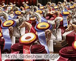 _14yn_slideshow_05958 proof