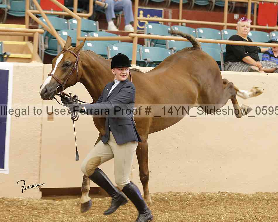 Proof _14yn_slideshow_05959