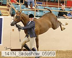 _14yn_slideshow_05959 proof