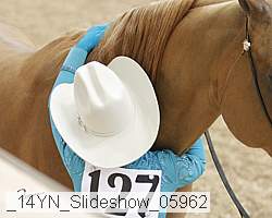 _14yn_slideshow_05962 proof