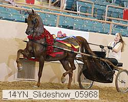 _14yn_slideshow_05968 proof