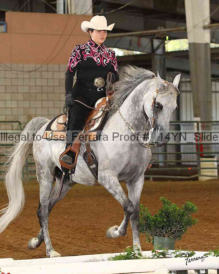 Proof _14yn_slideshow_05969