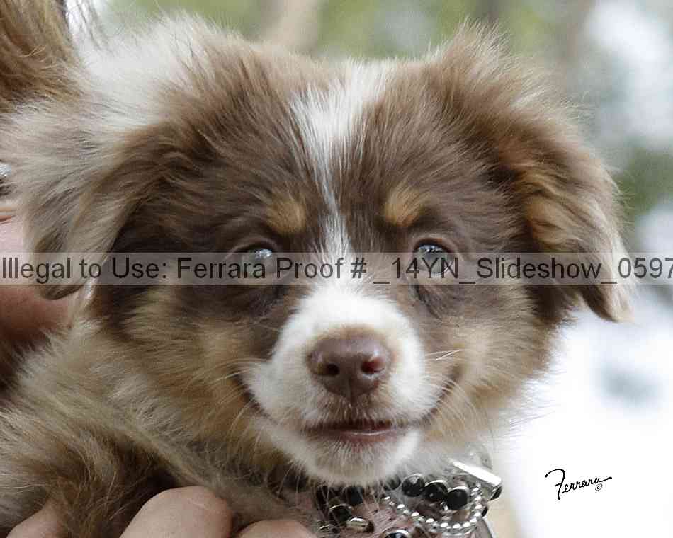 Proof _14yn_slideshow_05976