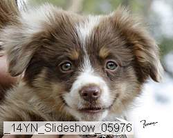 _14yn_slideshow_05976 proof