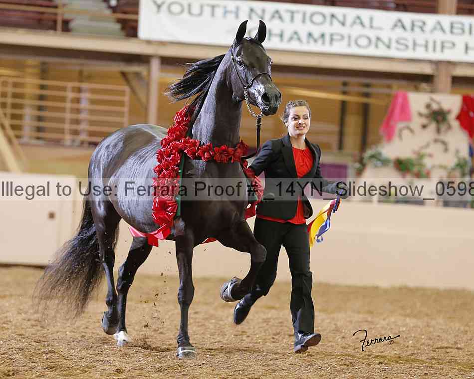 Proof _14yn_slideshow_05982