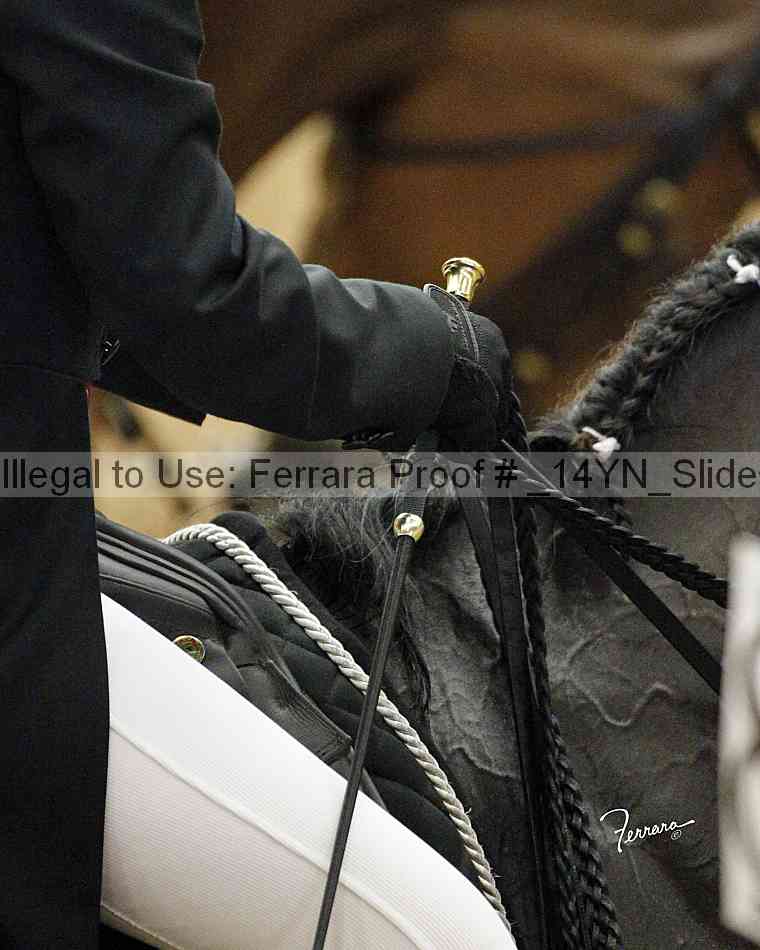 Proof _14yn_slideshow_05990