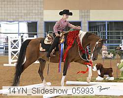 _14yn_slideshow_05993 proof