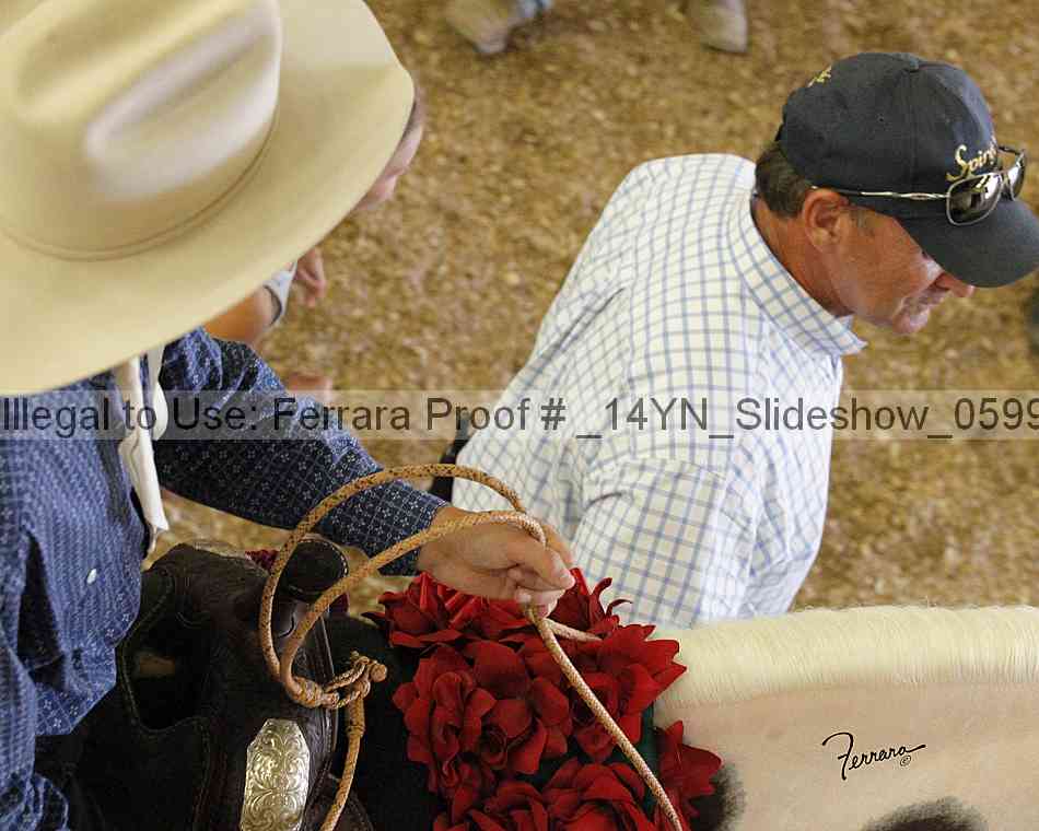 Proof _14yn_slideshow_05997