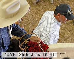 _14yn_slideshow_05997 proof