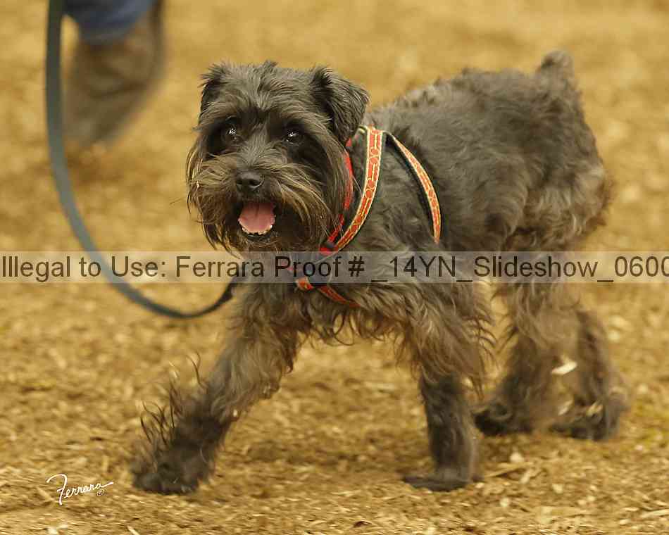 Proof _14yn_slideshow_06004