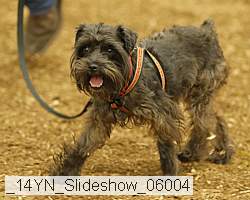 _14yn_slideshow_06004 proof