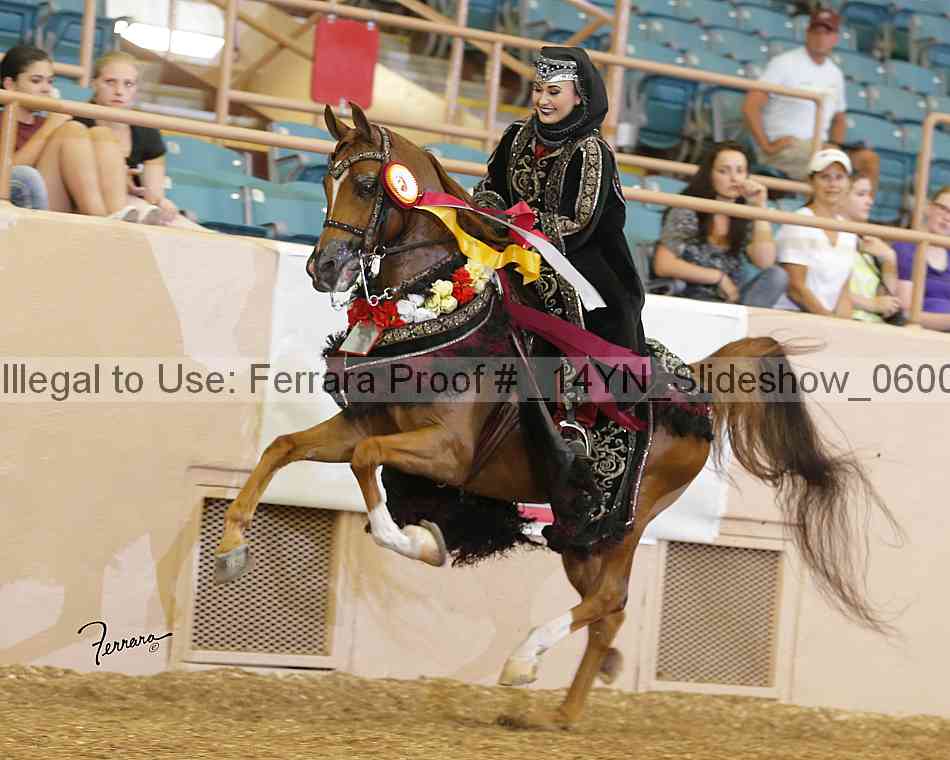 Proof _14yn_slideshow_06007