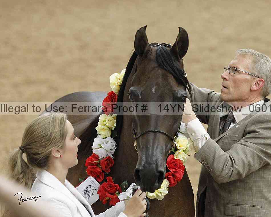 Proof _14yn_slideshow_06012