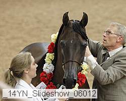 _14yn_slideshow_06012 proof